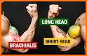 Biceps Workout related image