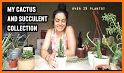 Cactus and Succulent Plants related image