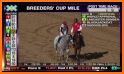 Watch Breeders Cup Live Streaming FREE related image