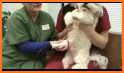 Companion Animal Hospital related image