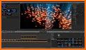 Panda Video Compressor: Movie & Video Resizer related image