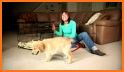 My Dog Training App - 30 Days Puppy Trainer related image