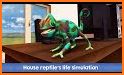 Family Pet Dog: Home Adventure Simulator 3D related image