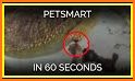 PetSmart related image