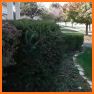 Buckeye Lawn Pros LLC related image