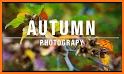 Season Camera - AUTUMN related image