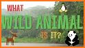 Wild Animal Quiz Game For Kids related image