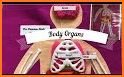 Parts of the Human Body - Montessori Anatomy related image