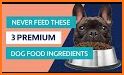 Dog Safe Foods (Premium) related image