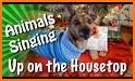 Talking Animals - Christmas Edition related image