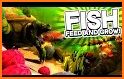 feed And grow Fish Adventure related image