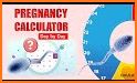 Pregnancy calculator | Tracker related image