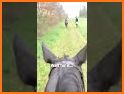 Horse Riding (Presented by: Ex related image