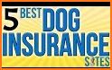 Pets Best Pet Health Insurance related image