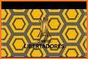 libertadores Soccer Champions related image