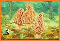 fungi.game related image