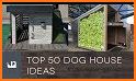 Creative Dog House Design related image