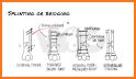 Basics of Orthopaedics related image