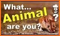 What animal are you? Personality test related image