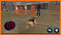 Police Dog Prison Escape Game related image