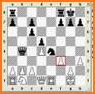 Chess 4 Casual - 1 or 2-player related image