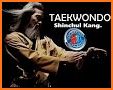 Taekwondo Master related image