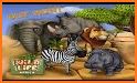 PetWorld: WildLife Africa related image