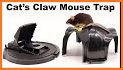 Mouse Traps Cat related image