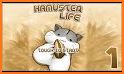 Hamster Life related image