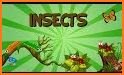 Insects and Bugs - Kids Learning Game related image