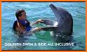 Dolphin Riders related image