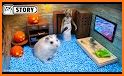 Escape Game Hamster House related image