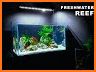 Freshwater Aquarium related image