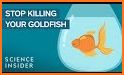 Good Fish Guide related image