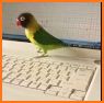 Cute Love Birds Keyboard related image