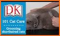 Cat Care & Grooming related image