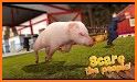 Virtual Pig Simulator related image