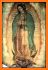 Virgin Of Guadalupe Roses Live Wallpaper related image