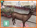 AR Real Animals - Augmented Reality Wildlife App related image