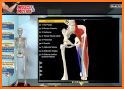 Strength by Muscle and Motion related image