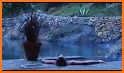 California Hot Springs Guide related image