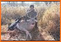 Extreme Deer Hunting 2019 related image