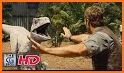 FX Dinosaurs for Shortfilms - FX Video Maker related image