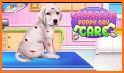 Labrador Pet Dog Daycare related image