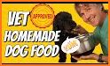 Dog Food Recipes - Homemade Do related image