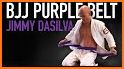 Purple Belt Requirements BJJ related image