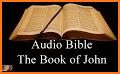 The World English Bible - Audio Bible, Offline related image