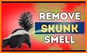 Eliminate Skunk related image