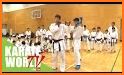 Sakauri Karate Basics related image