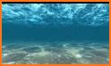 Live Wallpaper - 3D Ocean : World Under The Sea related image